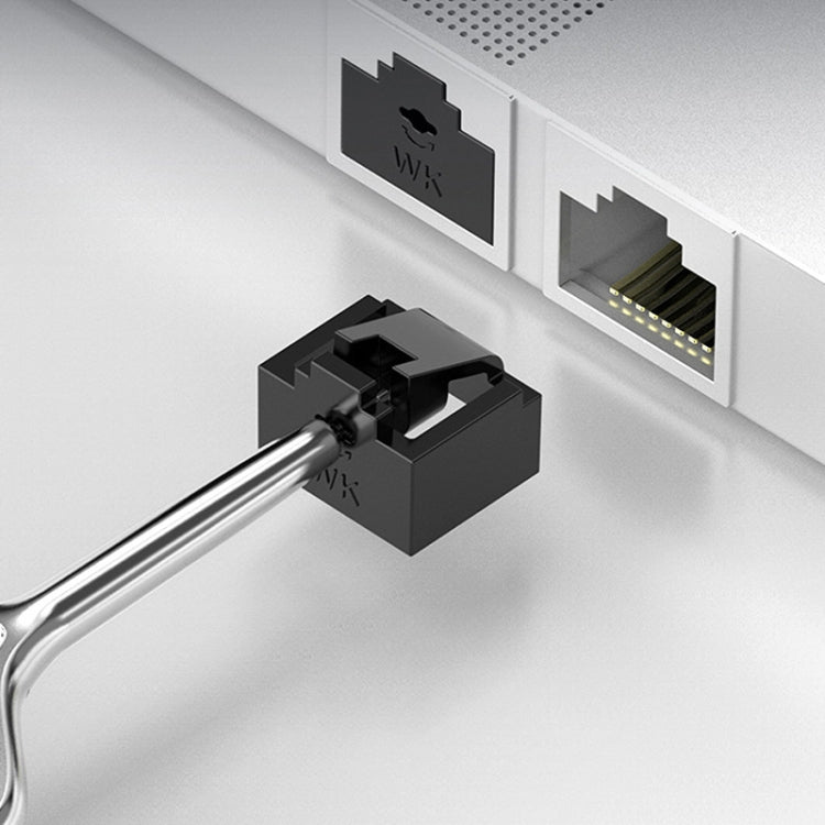 RJ45 Network Port Removable Safety Plug Dustproof Port Lock, Color: Black 2 Plug+1 Key Outer Cover - Anti-Dust Plugs by buy2fix | Online Shopping UK | buy2fix