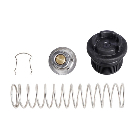 Pool Spa Heating Regulator Replacement Kit For Pentair MasterTemp Sta(Silver) - Swimming Pool Parts by buy2fix | Online Shopping UK | buy2fix