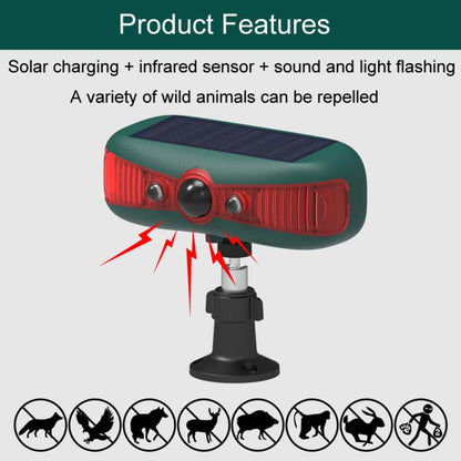 TBD06057263_B4.jpg@5e428e9384d601c60d89ef8b6ef7d48a