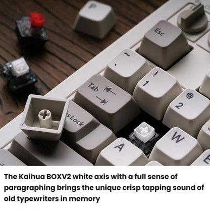 8BitDo Retro87 M Mechanical Keyboard Vintage Wireless Bluetooth / 2.4G / Wired Triple Mode Connection Keyboard(Light Gray) - Wireless Keyboard by 8BitDo | Online Shopping UK | buy2fix