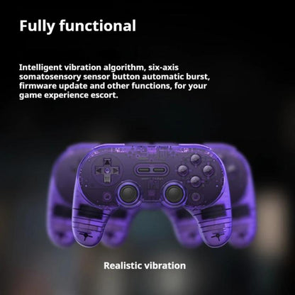 8BitDo Pro2 Retro Hall Edition Translucent Bluetooth With Back Button Multi-Platform Gamepad(Blue) - Gamepads by 8BitDo | Online Shopping UK | buy2fix