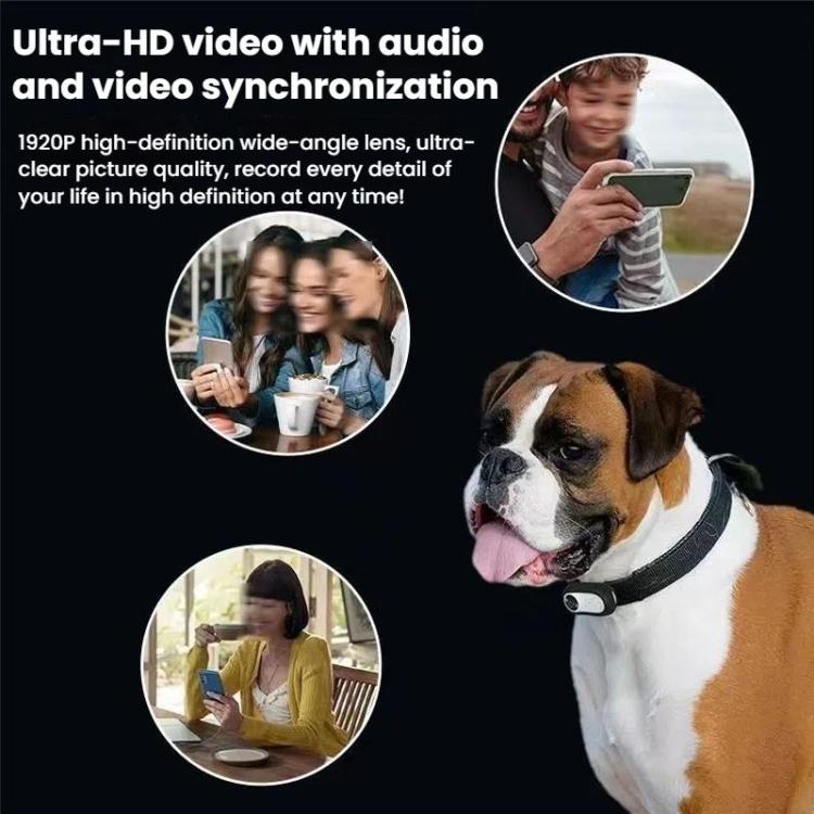 Pet Recorder With Collar Cat Dog View Camera, Size: Direct Record With 64G Memory Card(White) - Video Cameras by buy2fix | Online Shopping UK | buy2fix
