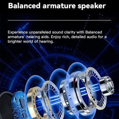 Neck-hanging 16-channel Bluetooth Hearing Aid Rechargeable Sound Amplifier for The Elderly(Black) - Hearing Aids by buy2fix | Online Shopping UK | buy2fix