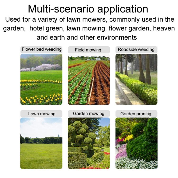 TBD06058793_B5.jpg@3547123c6b5f10272fe8952f7d2d8d1f