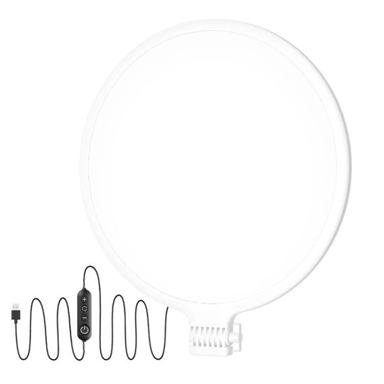 Live Streaming Fill Light LED Photography Lamp Mobile Phone Eye Protection Soft Light Selfie Lamp, Spec: 10inch（White）