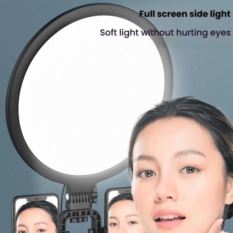 Live Streaming Fill Light LED Photography Lamp Mobile Phone Eye Protection Soft Light Selfie Lamp, Spec: 8inch（Black） - Ring Light by buy2fix | Online Shopping UK | buy2fix