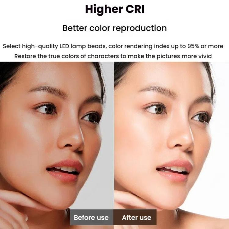 Live Streaming Fill Light LED Photography Lamp Mobile Phone Eye Protection Soft Light Selfie Lamp, Spec: 10inch（Black） - Ring Light by buy2fix | Online Shopping UK | buy2fix