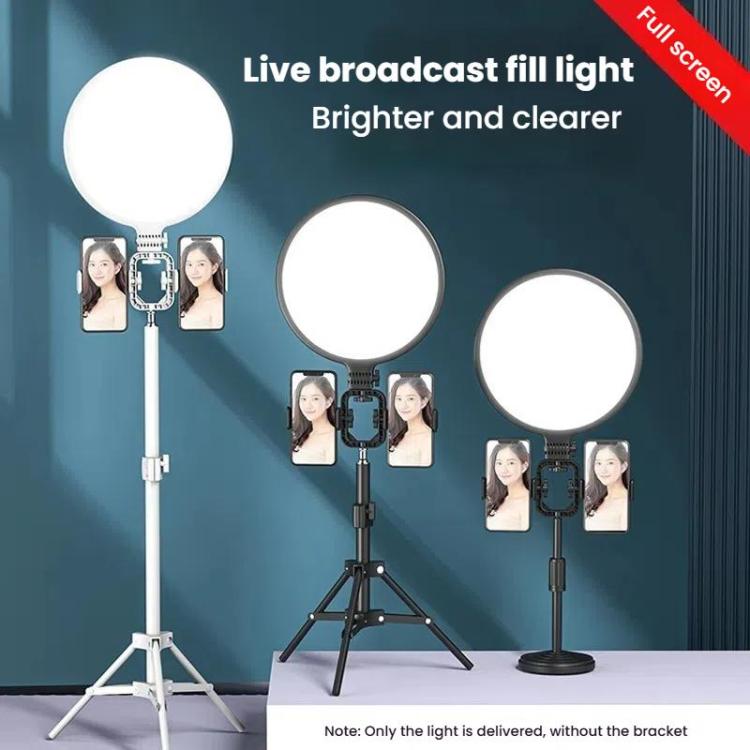 Live Streaming Fill Light LED Photography Lamp Mobile Phone Eye Protection Soft Light Selfie Lamp, Spec: 10inch（Black） - Ring Light by buy2fix | Online Shopping UK | buy2fix