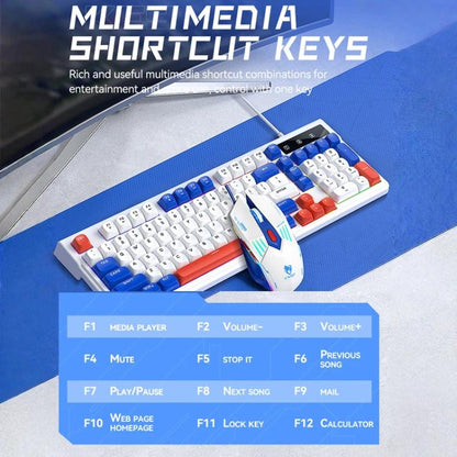 TBD06058919_B2.jpg@2a52c120f0a201598ffccb5cdf48e23a