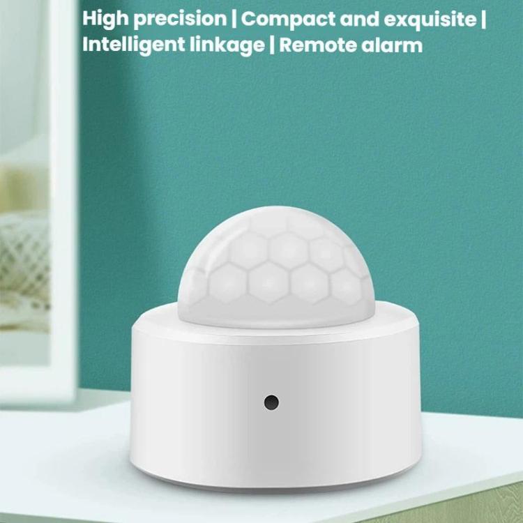 TBD06059213_B1.jpg@1e9160a9d00ec7ecd4c4899d88075ef7