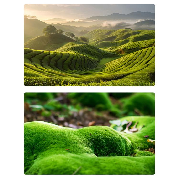 57 x 87cm Double-sided 3D Forest Photography Background Paper Photography Props(07) - Other by buy2fix | Online Shopping UK | buy2fix