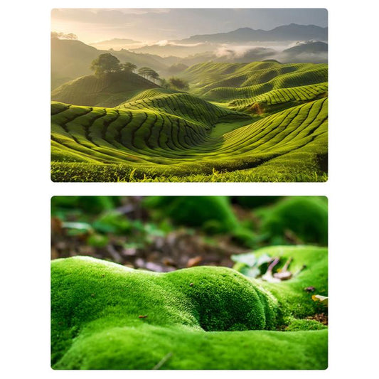 57 x 87cm Double-sided 3D Forest Photography Background Paper Photography Props(07) - Other by buy2fix | Online Shopping UK | buy2fix