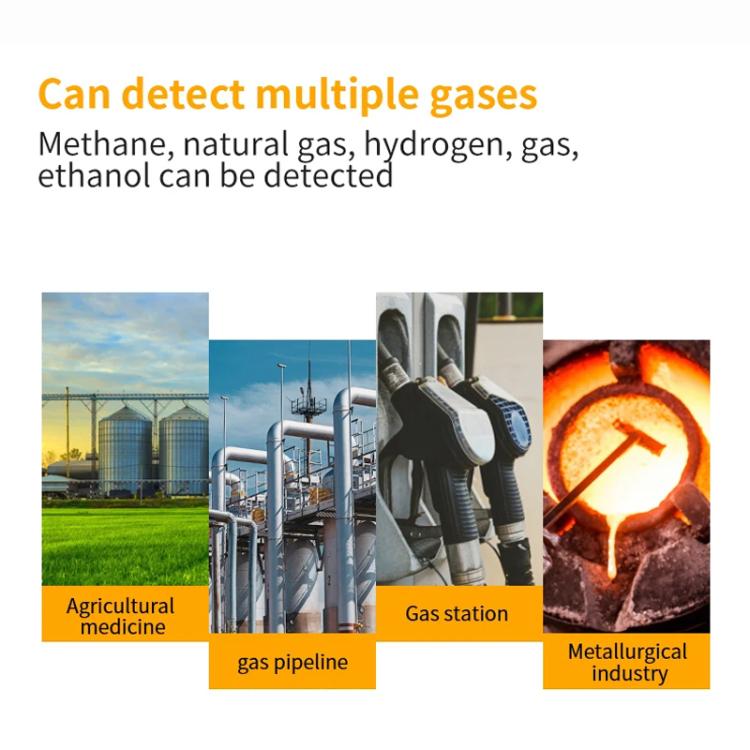 SNDWAY SW-733B Combustible Gas Detector Explosion-Proof Natural Gas Gas Methane Gas Alarms - Gas Monitor by SNDWAY | Online Shopping UK | buy2fix