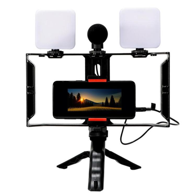 Smartphone Video Rig Kit with LED Fill Light & Microphone All-in-One Mobile Live Streaming(AY-49X) - Stand by buy2fix | Online Shopping UK | buy2fix