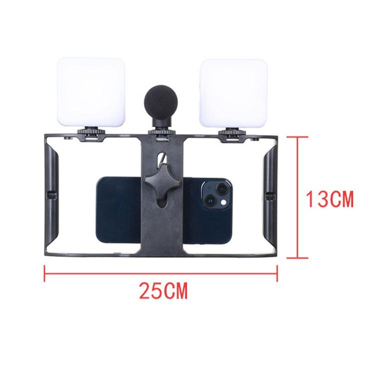 Smartphone Video Rig Kit with LED Fill Light & Microphone All-in-One Mobile Live Streaming(AY-49X) - Stand by buy2fix | Online Shopping UK | buy2fix