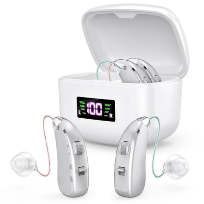 Sound Amplifying Hearing Aid With Magnetic Charging Case(Silver) - Hearing Aids by buy2fix | Online Shopping UK | buy2fix