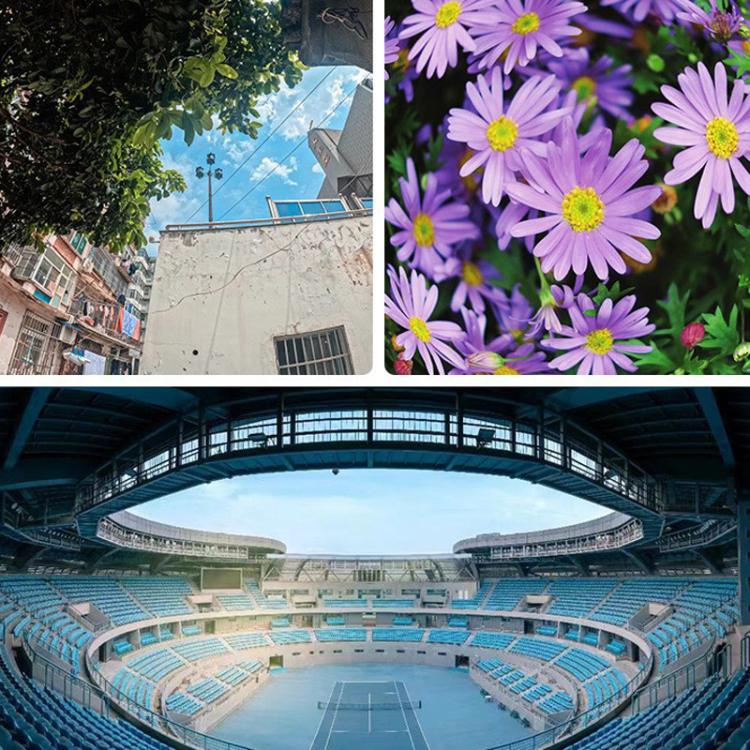 25X Macro High Definition Camera Mobile Phone Lens With Lens Clip - Macro & Wide-angle by buy2fix | Online Shopping UK | buy2fix