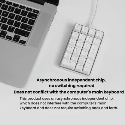 Little Kangaroo DS-9817 Backlit Non-Switching Wired Numeric Keypad Financial Business Banking Keyboard - Mini Keyboard by Little Kangaroo | Online Shopping UK | buy2fix