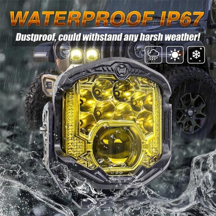 TBD06063248_B1.jpg@ecf6ef9262e89d527ecd365cd3da86c5