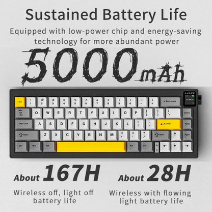 TBD06063333_B3.jpg@62507867e3f6a6fe3f1181b33e4317aa