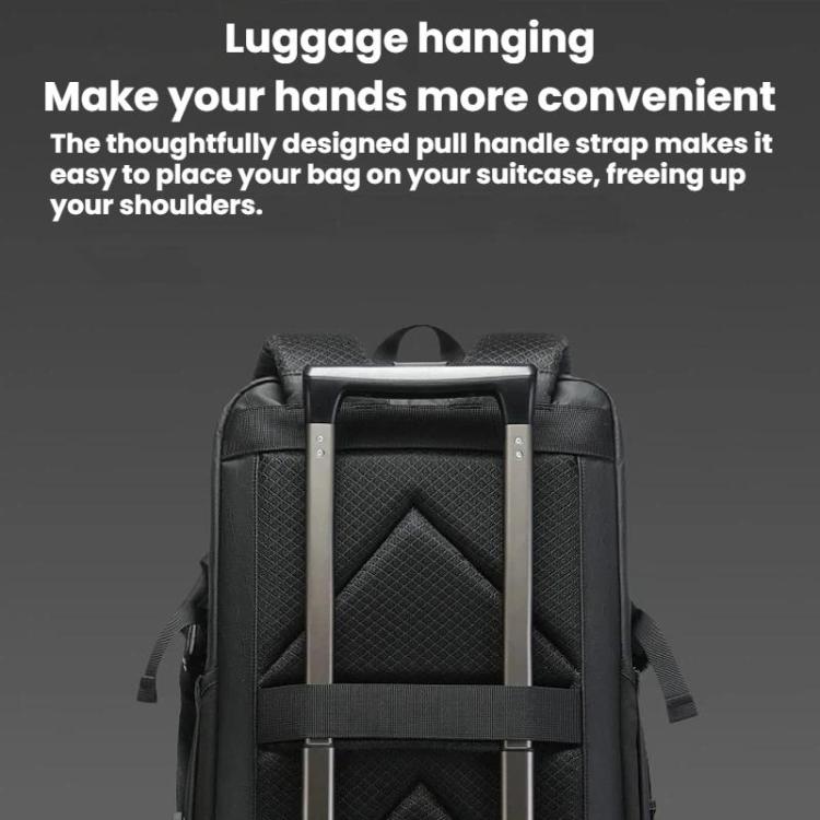 TBD06064636_B7.jpg@9596227cee27548a7b05b5cc36c7ae1e