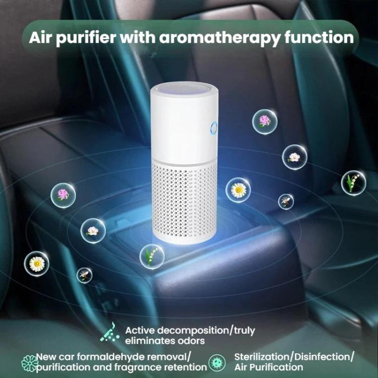 TBD06064703_B2.jpg@5b0561a75498f3fb572f554c0d8c6b8b