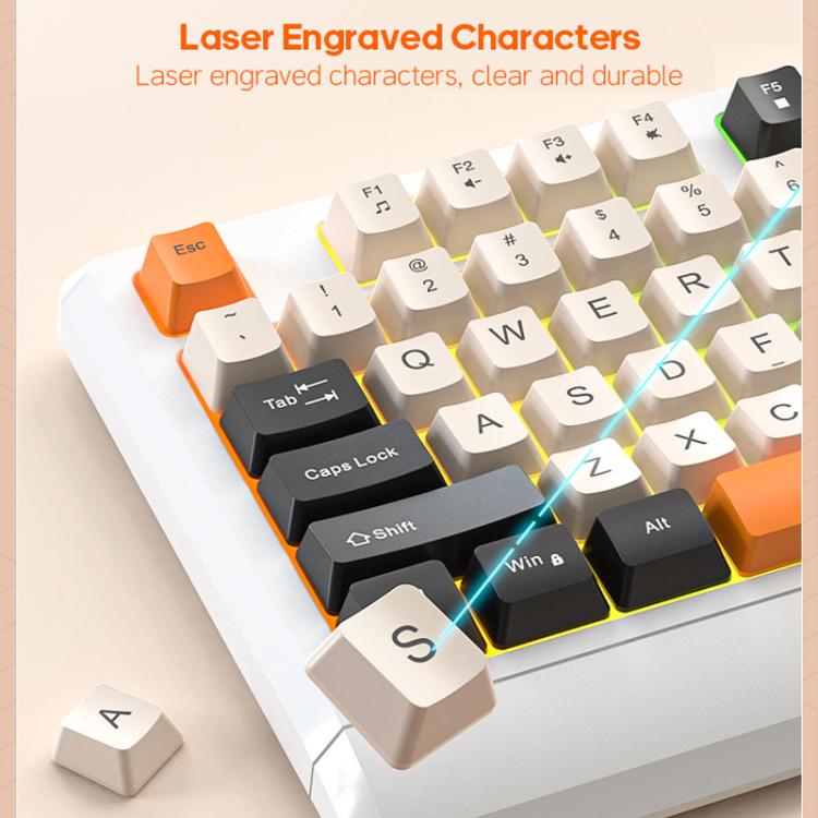 TBD06064909_B3.jpg@845b27986be12f61df071f06d8bb099d