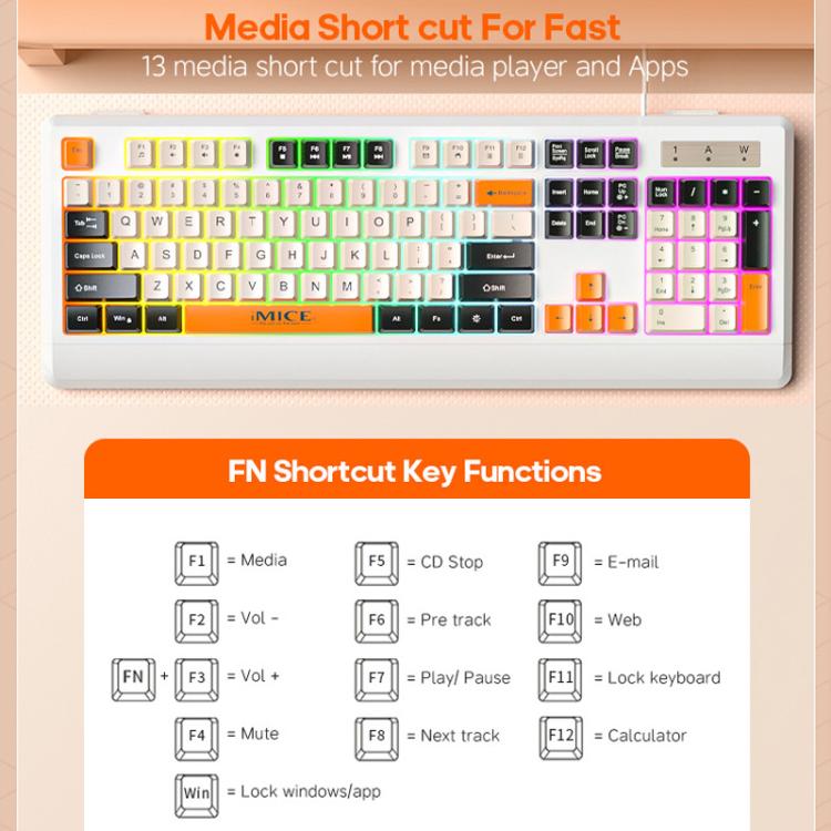 TBD06064909_B5.jpg@eb2784a5ce50ab65c6fd5e35b5379bb1