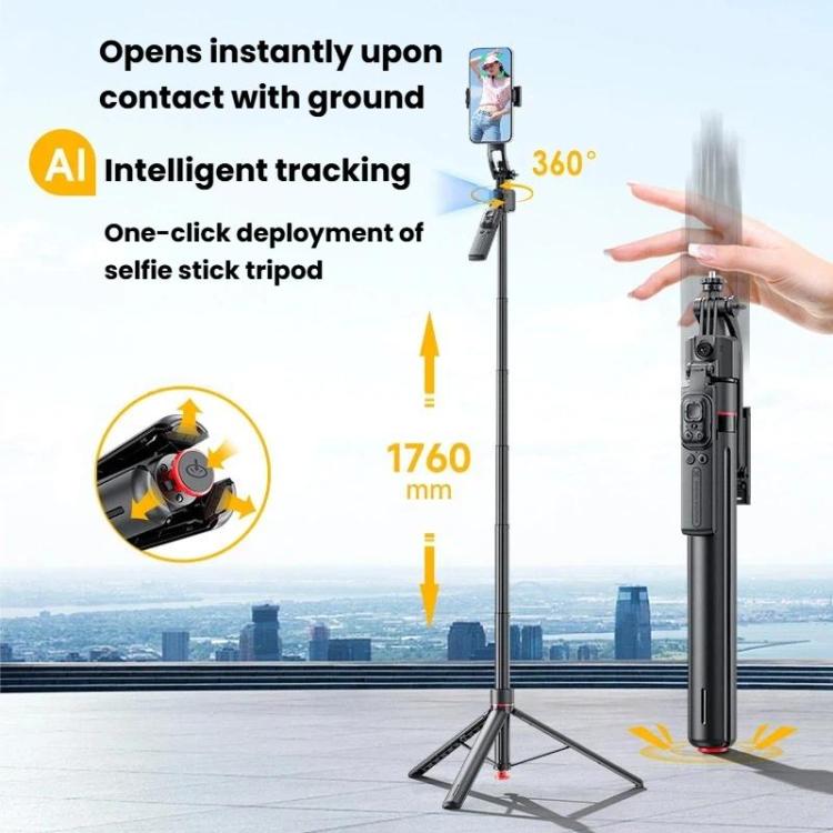 TBD06065252_B1.jpg@5c19c97a89ca395f32b31b33d7bd0a2d