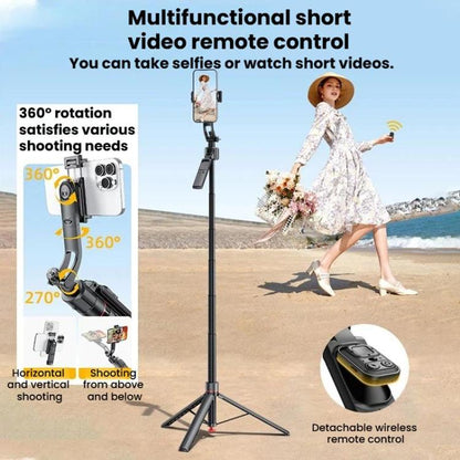 TBD06065252_B2.jpg@b64144e34d2b0126864e248e33e5110d