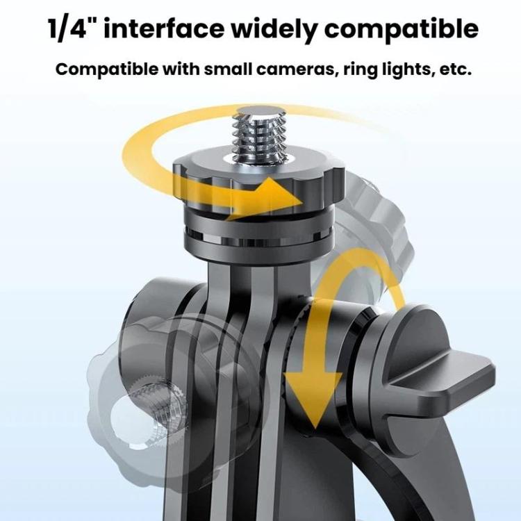 TBD06065252_B3.jpg@10652f46a9cf110166a062d157b52d64