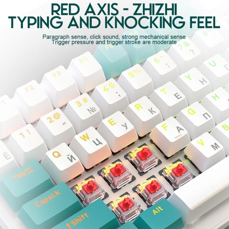 TBD06065361_B5.jpg@4c29bc7ceec47618f02b0d8467b89725