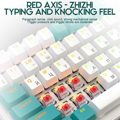 TBD06065361_B5.jpg@4c29bc7ceec47618f02b0d8467b89725