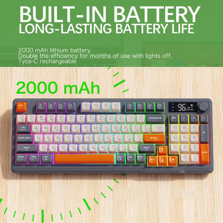 TBD06065366_B4.jpg@bccf38dbf9c72f530847932eac87932e