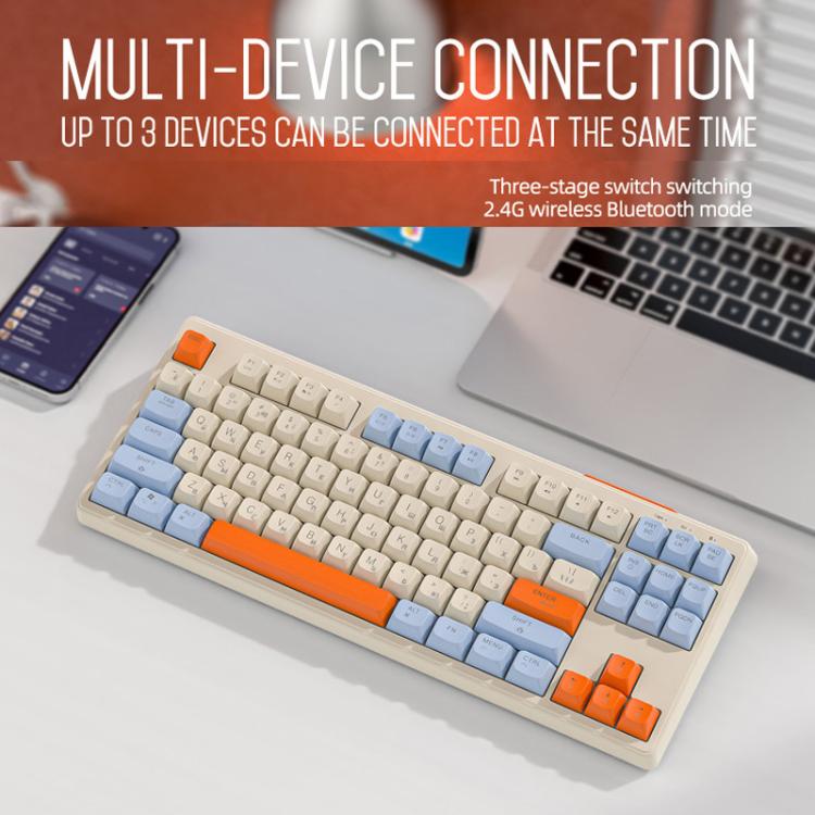 TBD06065372_B3.jpg@eccc7ea7393d6693345eeca96ea00daa