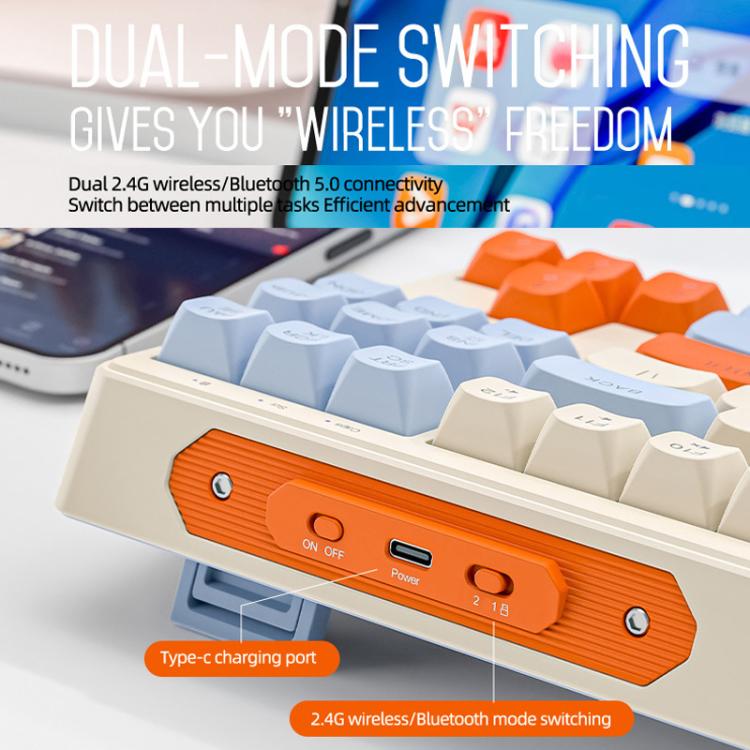 TBD06065372_B5.jpg@d0c91cfd78d56bc246182487f7668755