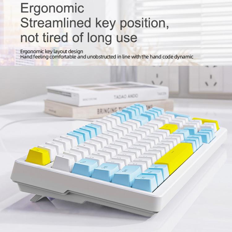 TBD06065392_B4.jpg@aa3e912a2902e4c75b072c9cde755369