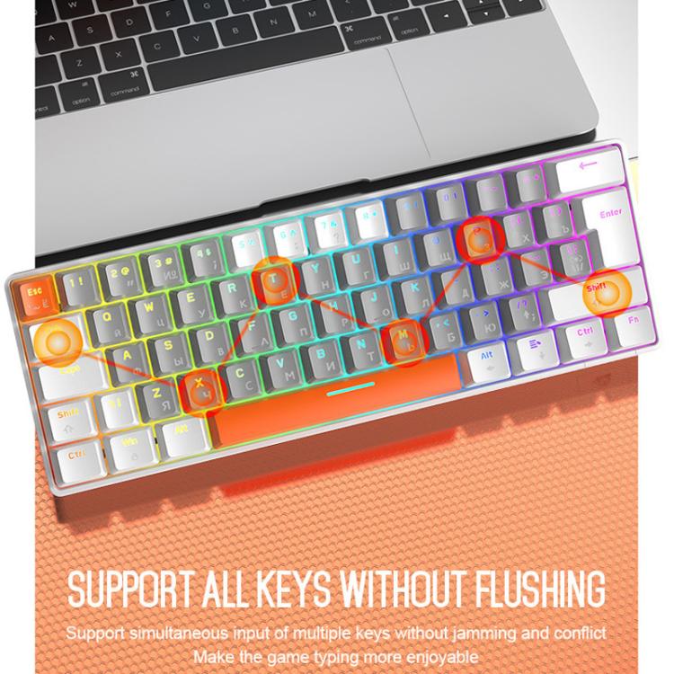 TBD06065420_B2.jpg@381224424f2d15c17354095d983f06bf