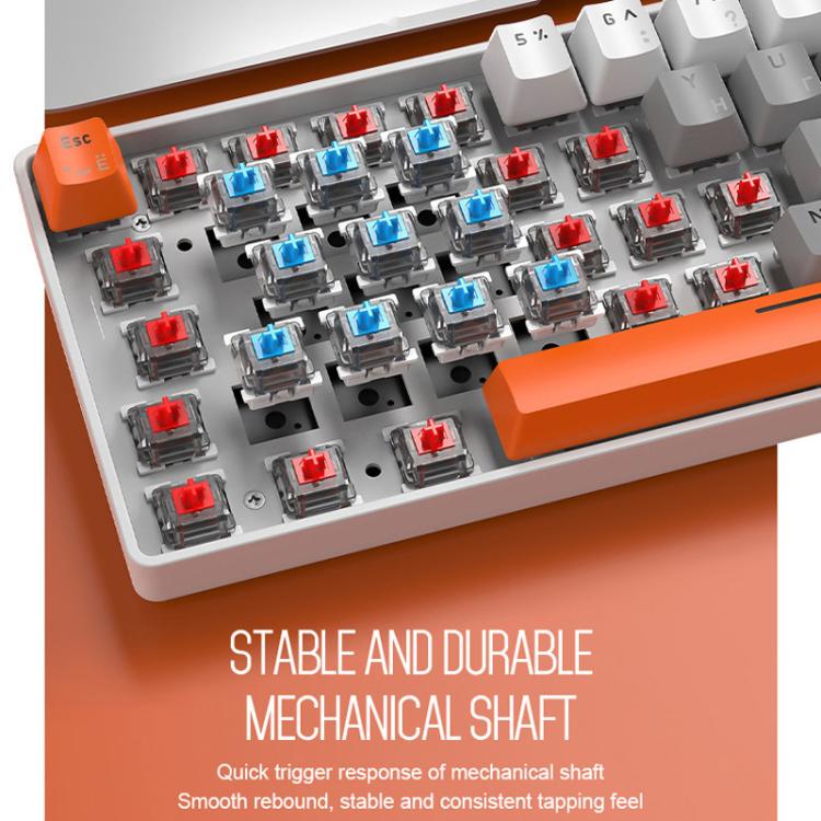 TBD06065420_B5.jpg@6386c45973f7df9c96714d7bc77e79a2