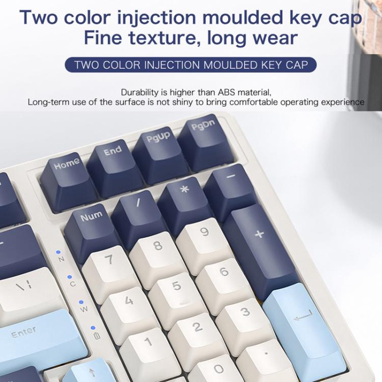 TBD06065429_B8.jpg@efb13c9c849b58fe88ea1af20fab4d0a