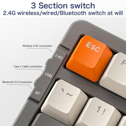 TBD06065429_B9.jpg@b42516ed182b2c845092bbb251840023