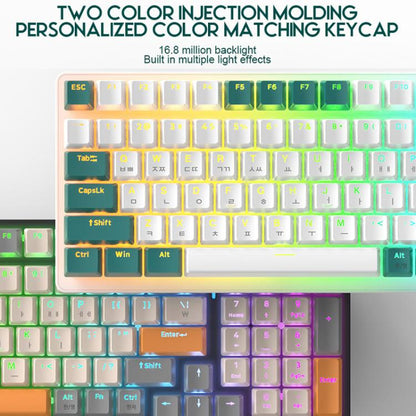 TBD06065434_B4.jpg@2b18b60ebdb14bddb92a01de9f067f56