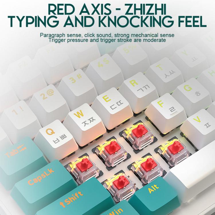 TBD06065434_B5.jpg@3e0bd71d01e3b698f8dbb81c6d33c86d