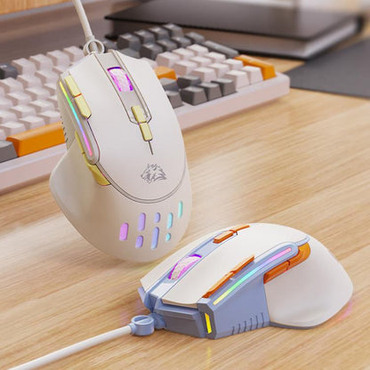 TBD06065448_B1.jpg@3d982a2b60032bf66ba4d4cca621d4c7