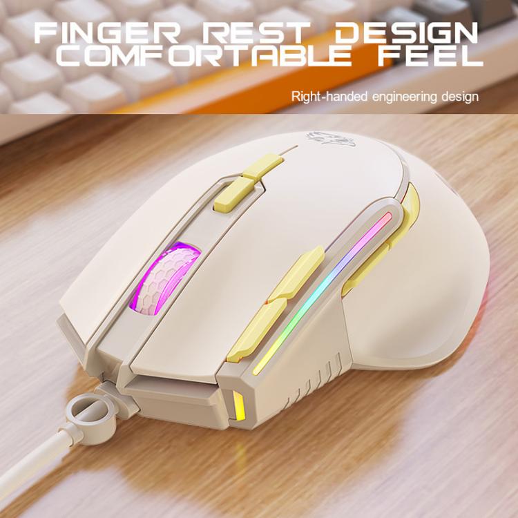 TBD06065448_B2.jpg@3800d8cf621e60e7639d7e079da54823