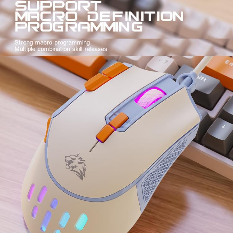 TBD06065448_B3.jpg@7fb13effac6e86b8af6409f6cc20b5af