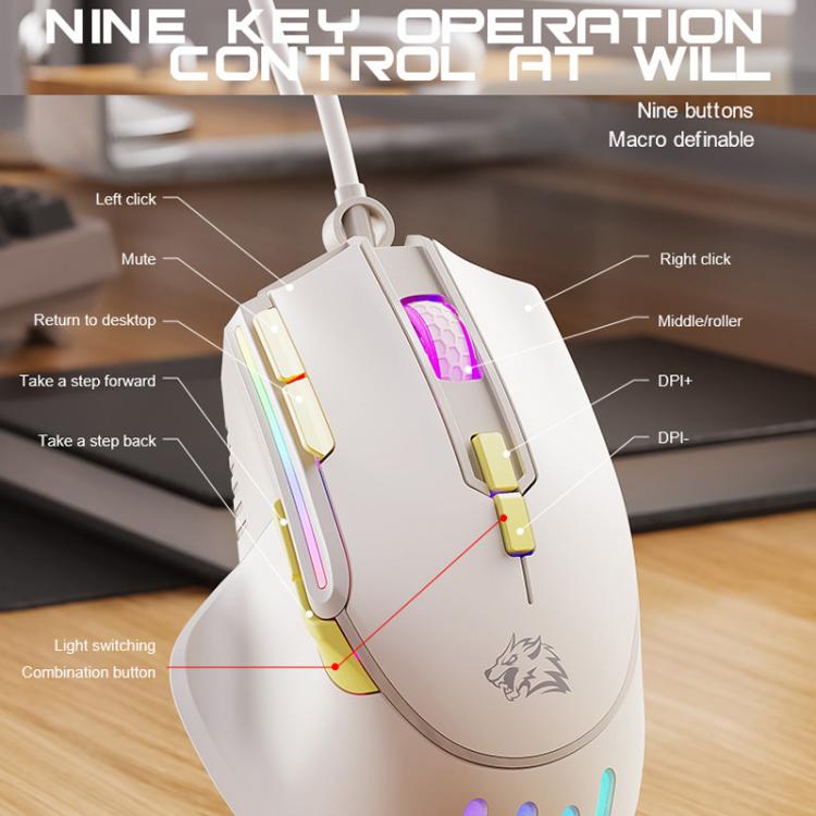 TBD06065448_B4.jpg@abe8bbdc39908c76506822939c873011