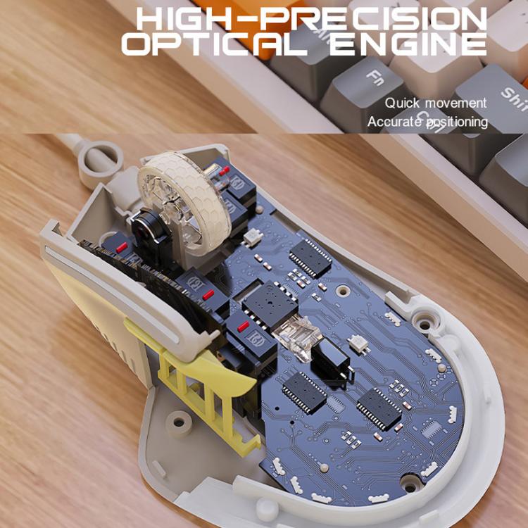 TBD06065448_B6.jpg@d0a2ec04561d0ea38ad0b029446c252e