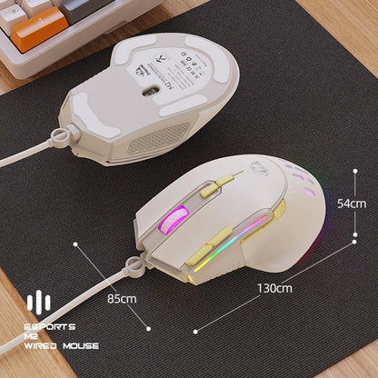 TBD06065448_B8.jpg@9c6fa3318f44960a64afd8873ef4542a