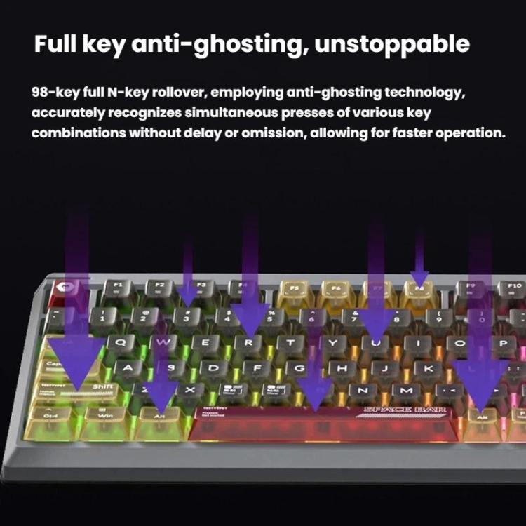 TBD06065454_B5.jpg@fc5fef8389da8b3d2b5c3d8a9f4eeea3